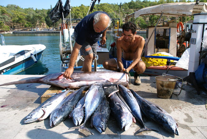 Γαλαξείδι 07