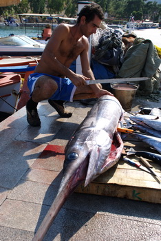 Γαλαξείδι 08