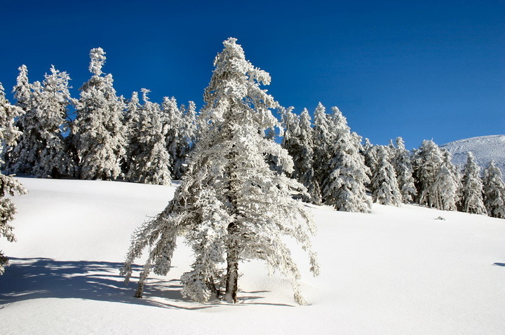 ΦΩΤΟΓΡΑΦΙΕΣ ΤΟΥ ΞΕΝΟΔΟΧΕΙΟΥ ΚΑΙ ΤΗΣ ΠΕΡΙΟΧΗΣ 03